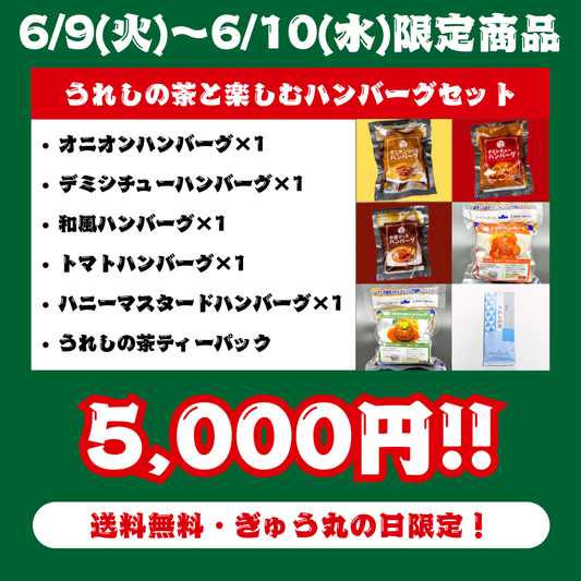 【ぎゅう丸の日限定】6月ぎゅう丸の日 うれしの茶と楽しむハンバーグセット